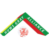 威冠聯(lián)比賽圖標(biāo)