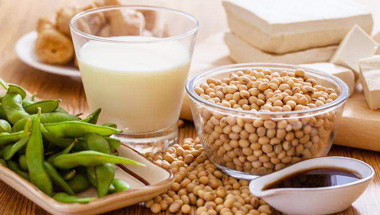 豆制品廢水處理方案