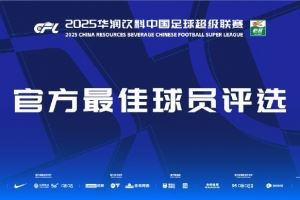 中超第17輪最佳候選：韋斯利<div   id=