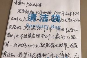 申花在清潔袋上寄語球迷：望申花精神永不停歇<div   id=