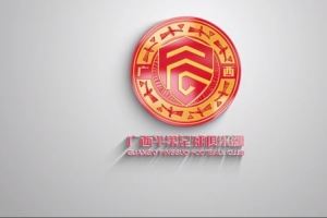 比賽預(yù)告｜中甲第19輪廣西平果國晶vs深圳青年人