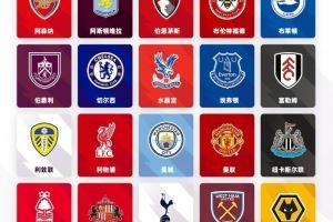英超轉(zhuǎn)會觀察:金元狂潮背后套路多,階層分化引人矚目
