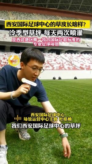 西安國際足球運(yùn)營主管：草皮國外進(jìn)口＆冷季型草<div   id=